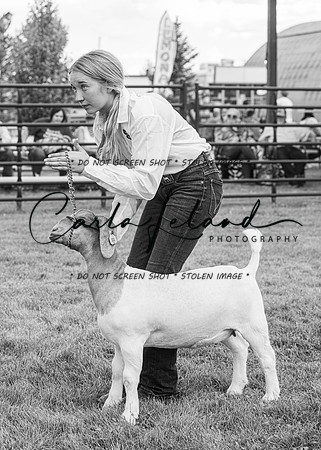 2023 Roosevelt County Fair Goat Show-47