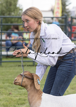 2023 Roosevelt County Fair Goat Show-48