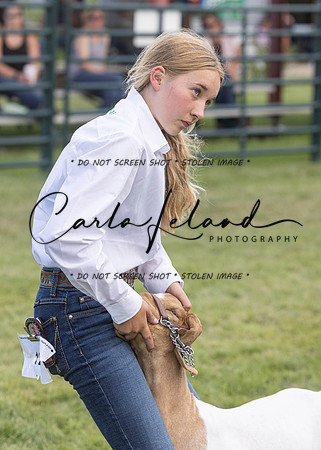 2023 Roosevelt County Fair Goat Show-49