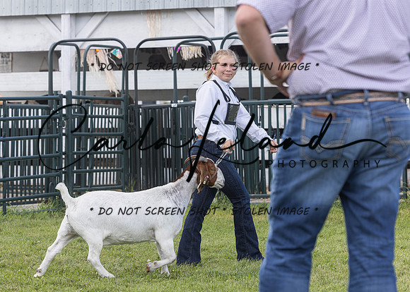 2023 Roosevelt County Fair Goat Show-50