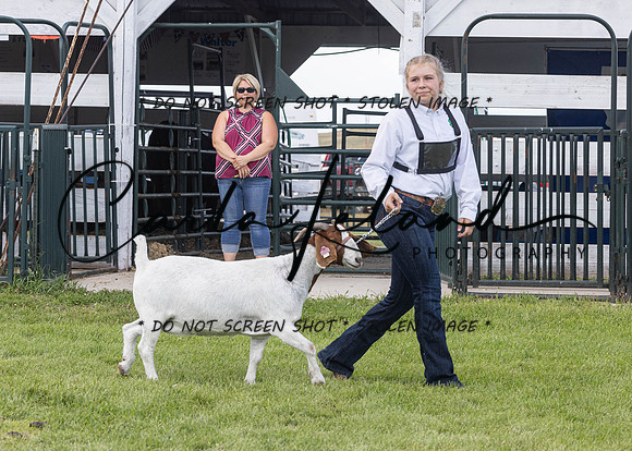 2023 Roosevelt County Fair Goat Show-51