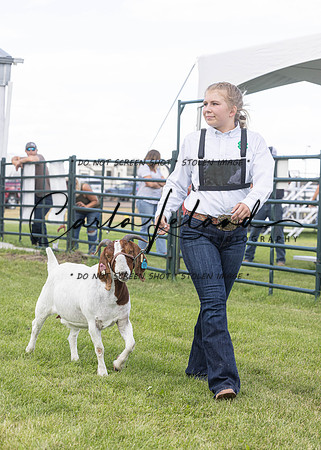 2023 Roosevelt County Fair Goat Show-52
