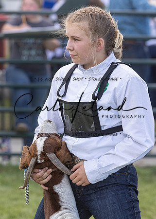 2023 Roosevelt County Fair Goat Show-53
