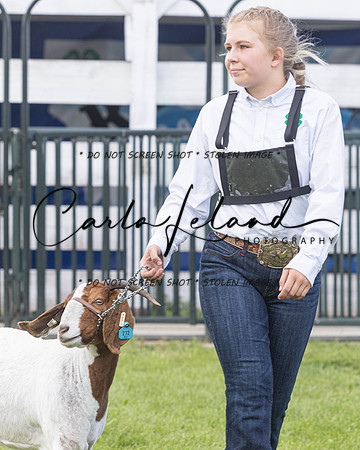 2023 Roosevelt County Fair Goat Show-54