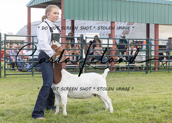 2023 Roosevelt County Fair Goat Show-55