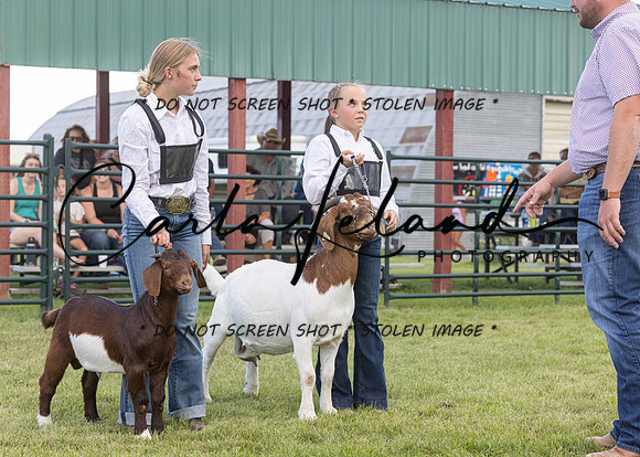 2023 Roosevelt County Fair Goat Show-56