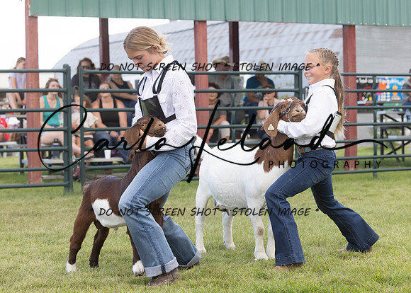 2023 Roosevelt County Fair Goat Show-57