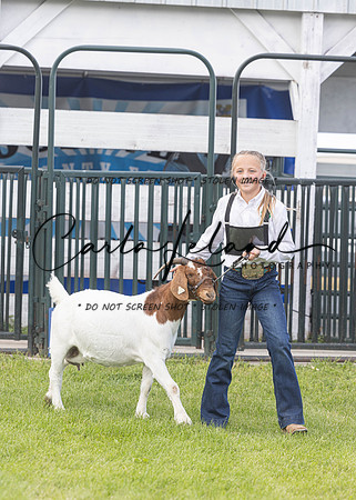 2023 Roosevelt County Fair Goat Show-59