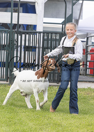 2023 Roosevelt County Fair Goat Show-60
