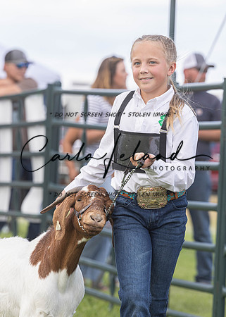 2023 Roosevelt County Fair Goat Show-61