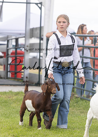 2023 Roosevelt County Fair Goat Show-62