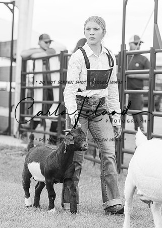 2023 Roosevelt County Fair Goat Show-63