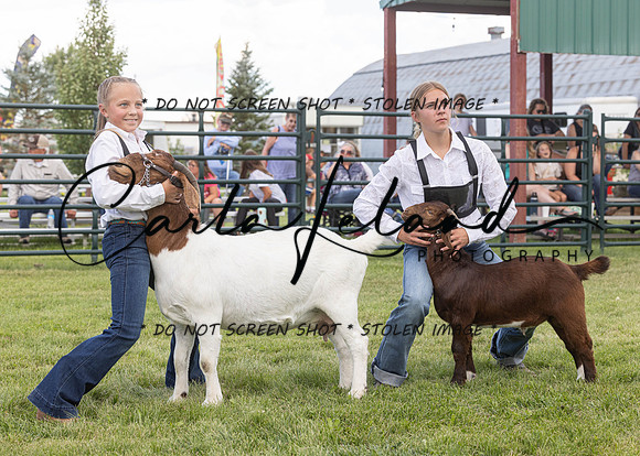 2023 Roosevelt County Fair Goat Show-64
