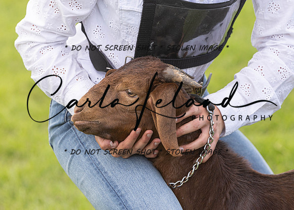 2023 Roosevelt County Fair Goat Show-65