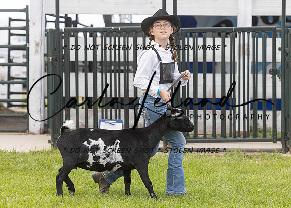 2023 Roosevelt County Fair Goat Show-67