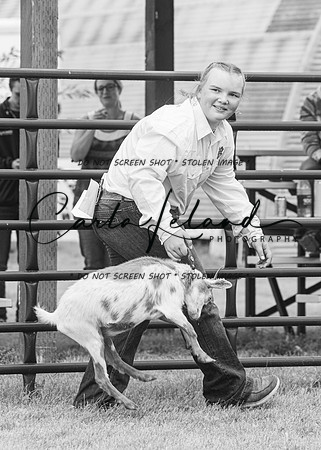 2023 Roosevelt County Fair Goat Show-70