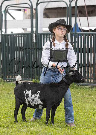 2023 Roosevelt County Fair Goat Show-73