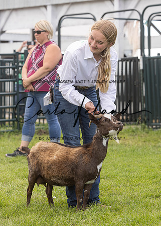2023 Roosevelt County Fair Goat Show-74
