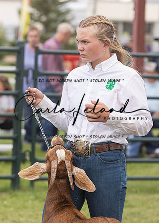2023 Roosevelt County Fair Goat Show-78