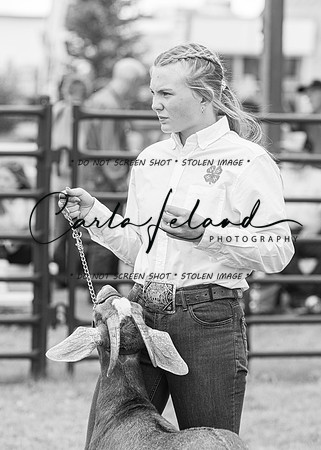 2023 Roosevelt County Fair Goat Show-79