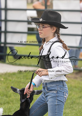 2023 Roosevelt County Fair Goat Show-80