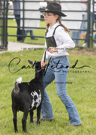 2023 Roosevelt County Fair Goat Show-81