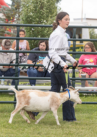 2023 Roosevelt County Fair Goat Show-82