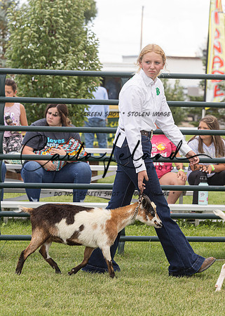 2023 Roosevelt County Fair Goat Show-83