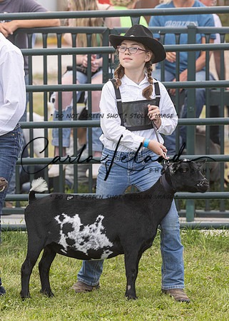 2023 Roosevelt County Fair Goat Show-84
