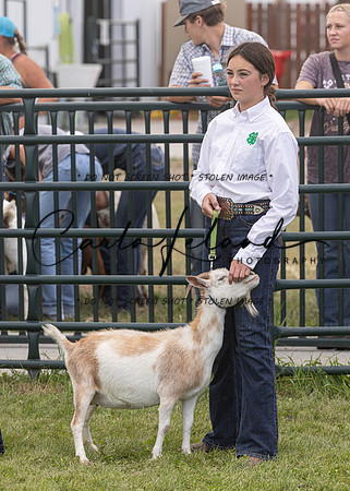 2023 Roosevelt County Fair Goat Show-85