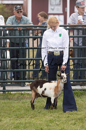 2023 Roosevelt County Fair Goat Show-86
