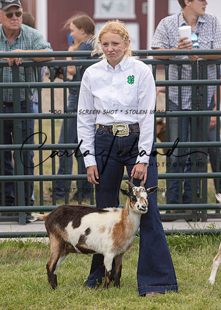 2023 Roosevelt County Fair Goat Show-87