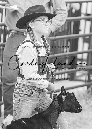 2023 Roosevelt County Fair Goat Show-91