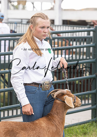 2023 Roosevelt County Fair Goat Show-92
