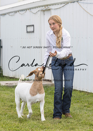 2023 Roosevelt County Fair Goat Show-93