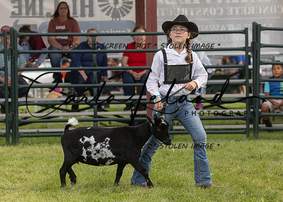 2023 Roosevelt County Fair Goat Show-94