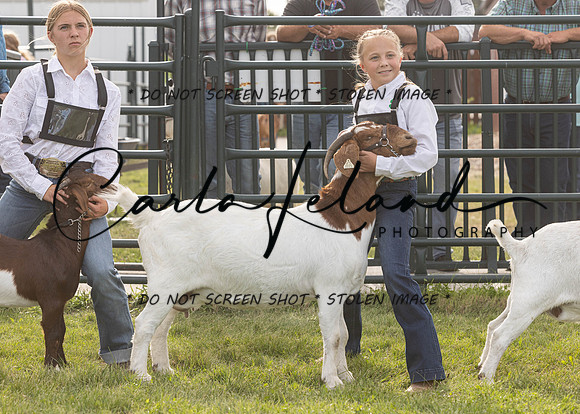 2023 Roosevelt County Fair Goat Show-96