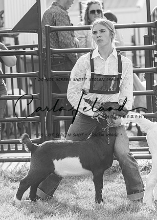2023 Roosevelt County Fair Goat Show-97