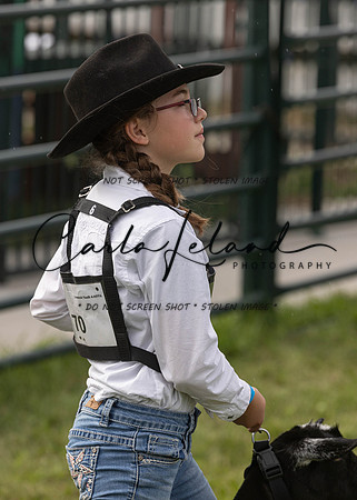 2023 Roosevelt County Fair Goat Show-99