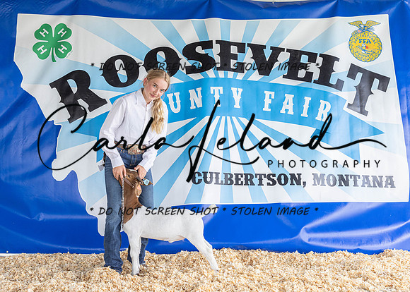 2023 Roosevelt County Fair-1491