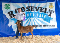2023 Roosevelt County Fair-1494