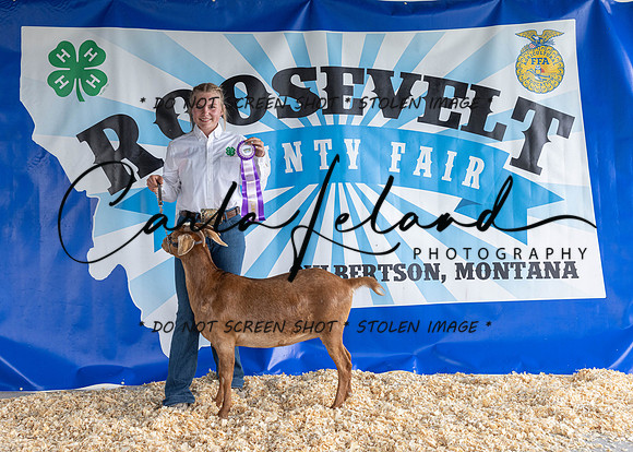 2023 Roosevelt County Fair-1494