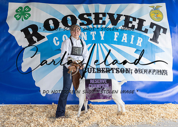 2023 Roosevelt County Fair-1506