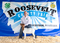 2023 Roosevelt County Fair-1488