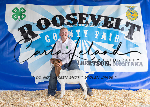 2023 Roosevelt County Fair-1488