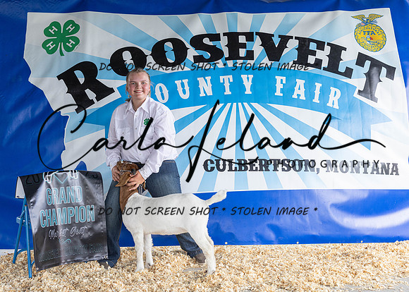 2023 Roosevelt County Fair-1508