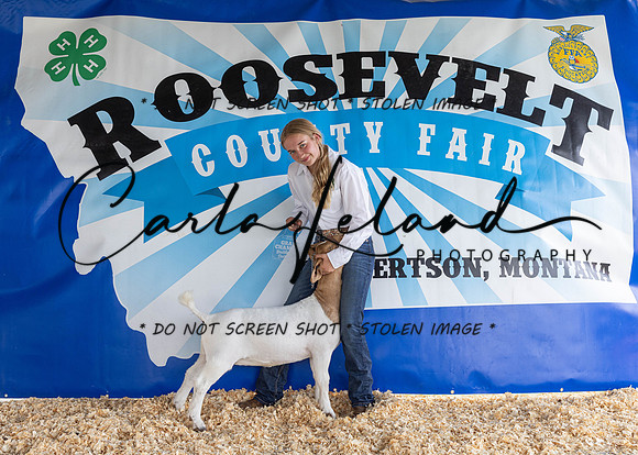 2023 Roosevelt County Fair-1513