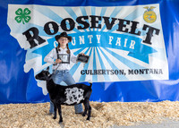 2023 Roosevelt County Fair-1520