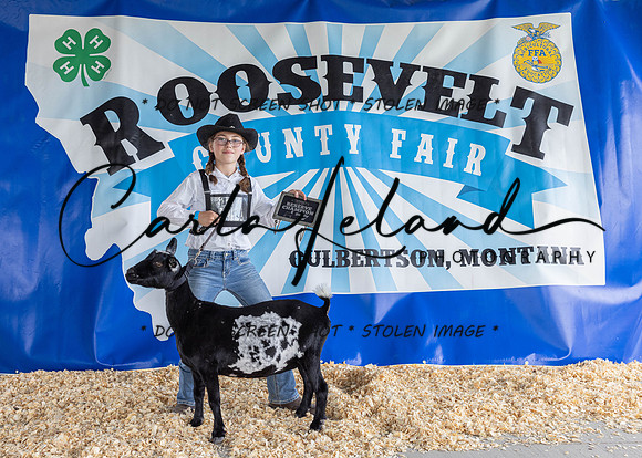 2023 Roosevelt County Fair-1520