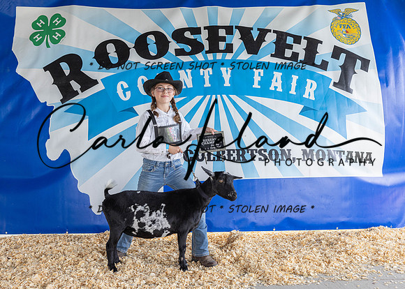 2023 Roosevelt County Fair-1516